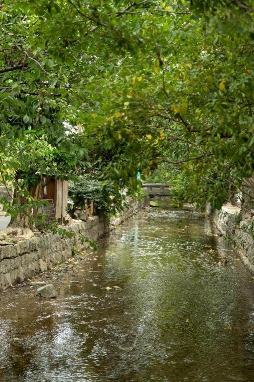 Kyoto Hatsune Hotel Esterno foto